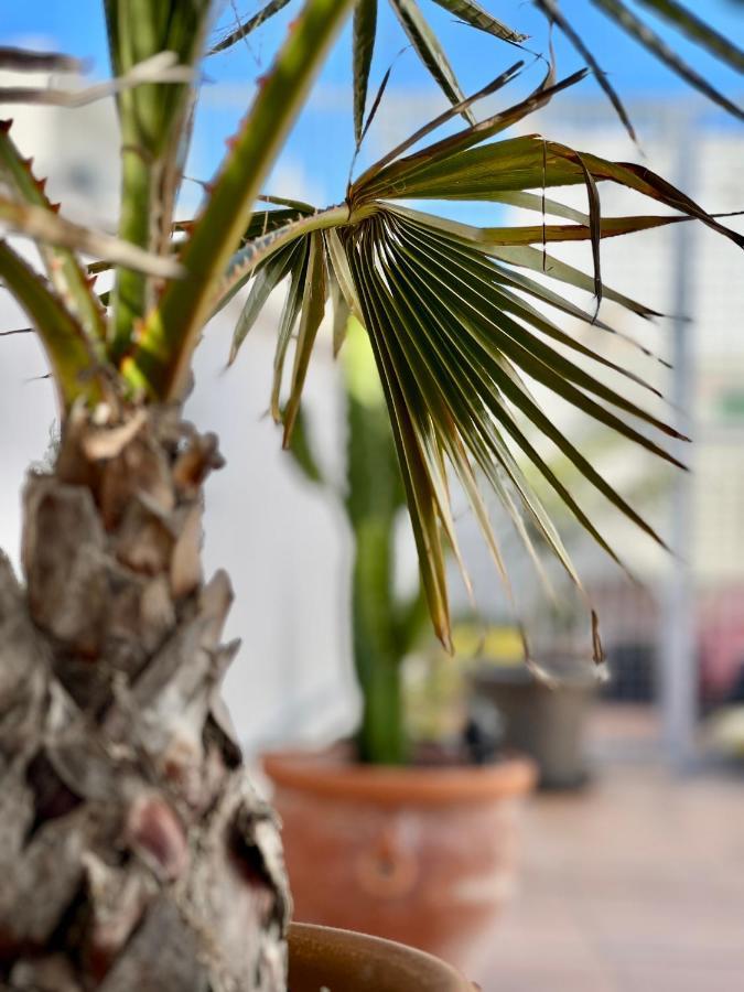 La Terraza De Porvenir 10 - Jerez De La Frontera 아파트 외부 사진